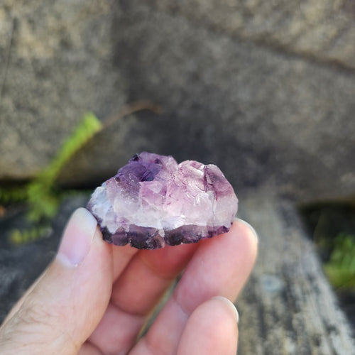 Black Warrior Purple Fluorite | 35gms