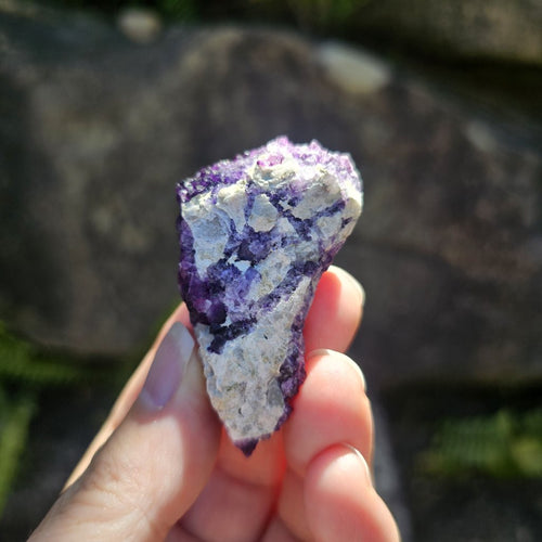 Black Warrior Purple Fluorite | 42gms