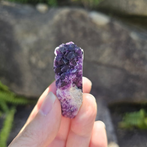 Black Warrior Purple Fluorite | 42gms