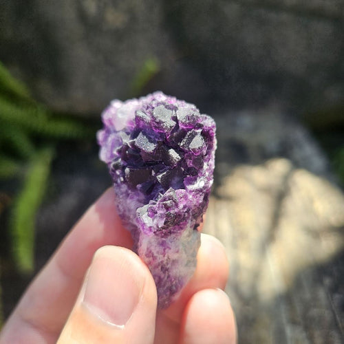 Black Warrior Purple Fluorite | 42gms