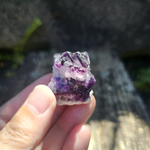 Black Warrior Purple Fluorite | 44gms