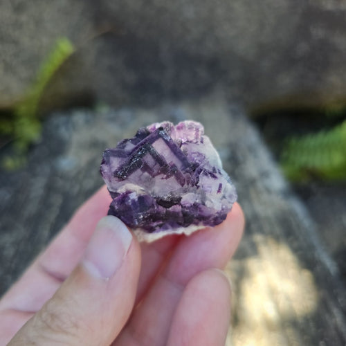 Black Warrior Purple Fluorite | 44gms