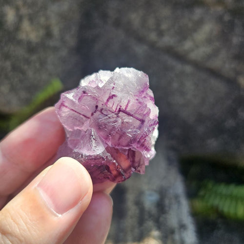 Black Warrior Purple Fluorite | 45gms