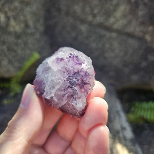 Black Warrior Purple Fluorite | 45gms