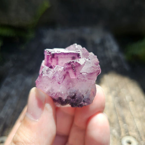 Black Warrior Purple Fluorite | 46gms