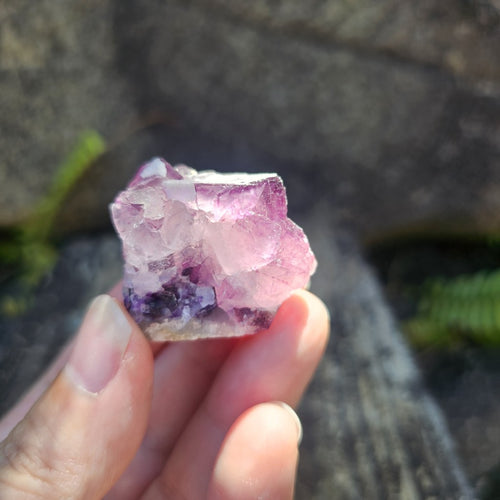 Black Warrior Purple Fluorite | 46gms