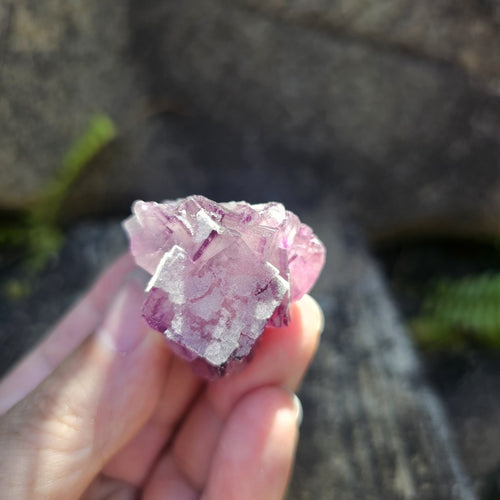 Black Warrior Purple Fluorite | 46gms