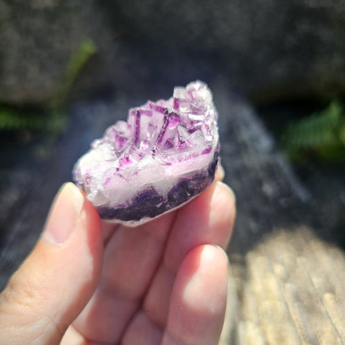 Black Warrior Purple Fluorite | 48gms