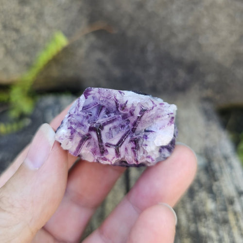 Black Warrior Purple Fluorite | 48gms