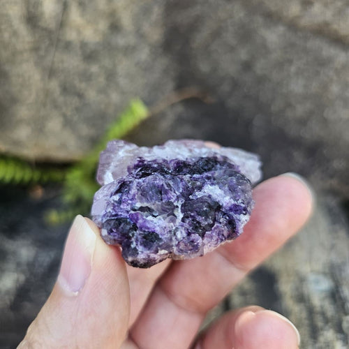 Black Warrior Purple Fluorite | 51gms