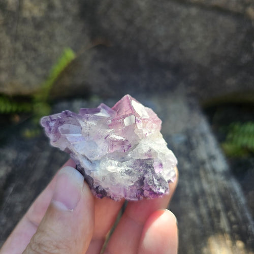 Black Warrior Purple Fluorite | 51gms