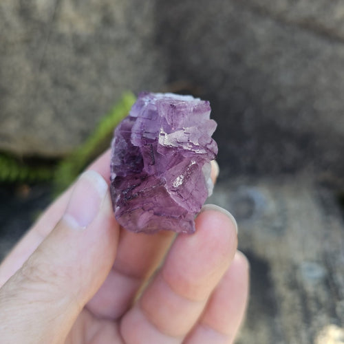 Black Warrior Purple Fluorite | 53gms
