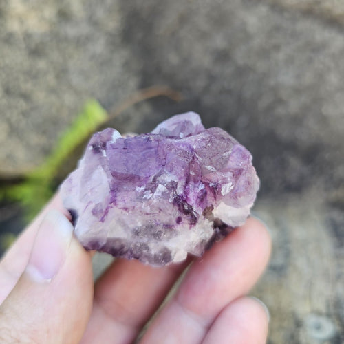 Black Warrior Purple Fluorite | 59gms