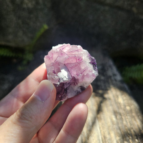 Black Warrior Purple Fluorite | 82gms