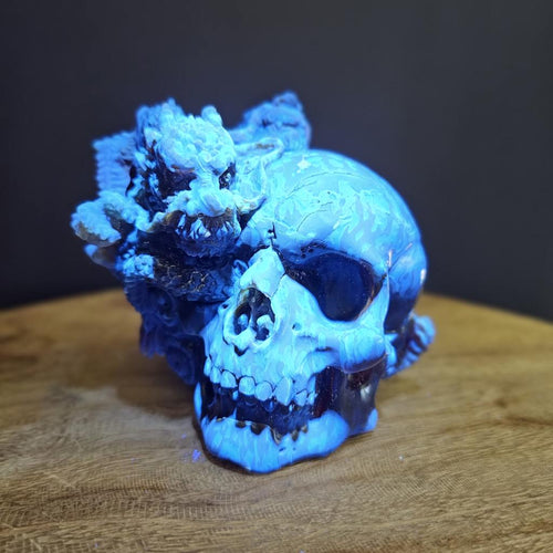 Blue Amber Skull | Guardian of The dragon Realm