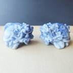 Blue Kyanite Dragon Turtle | Clear Vision Guardians