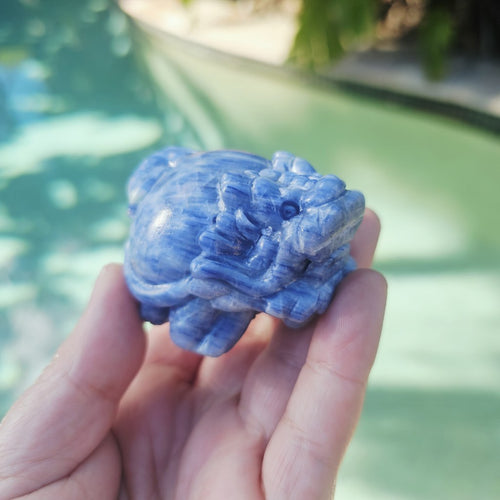 Blue Kyanite Dragon Turtle | Clear Vision Guardians