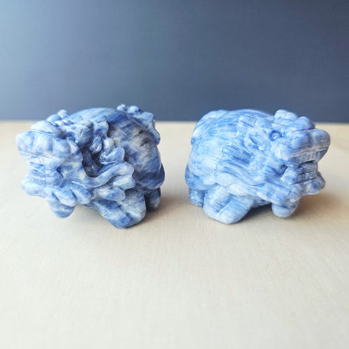 Blue Kyanite Dragon Turtle | Clear Vision Guardians