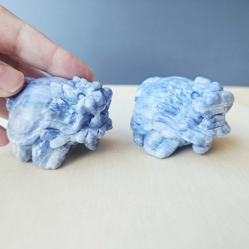 Blue Kyanite Dragon Turtle | Clear Vision Guardians