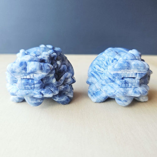 Blue Kyanite Dragon Turtle | Clear Vision Guardians