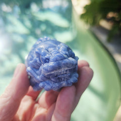 Blue Kyanite Dragon Turtle | Clear Vision Guardians