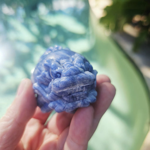 Blue Kyanite Dragon Turtle | Clear Vision Guardians