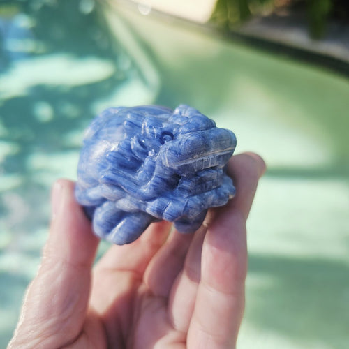 Blue Kyanite Dragon Turtle | Clear Vision Guardians