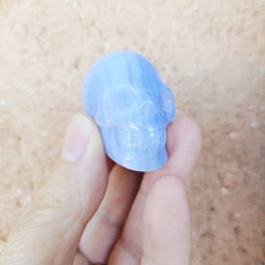 Blue Lace Agate Skull | The Calm Sentinel