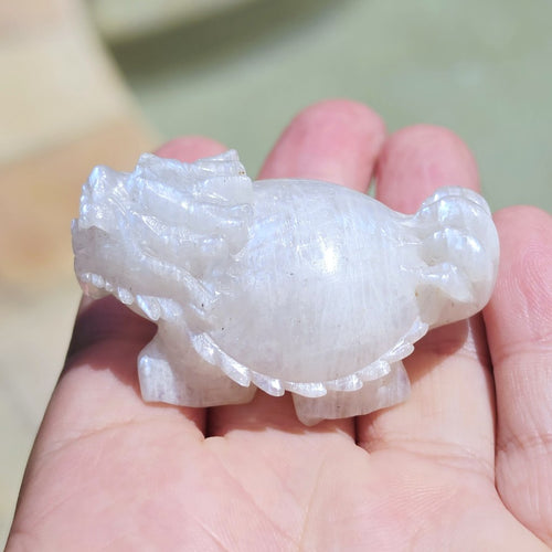 Blue Moonstone Dragon Turtle | Blue Flash Longgui