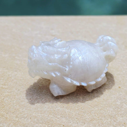 Blue Moonstone Dragon Turtle | Blue Flash Longgui
