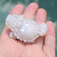Blue Moonstone Dragon Turtle | Blue Flash Longgui