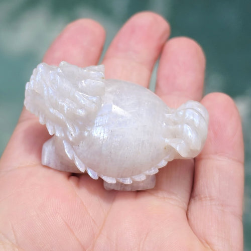 Blue Moonstone Dragon Turtle | Blue Flash Longgui