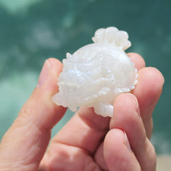 Blue Moonstone Dragon Turtle | Blue Flash Longgui