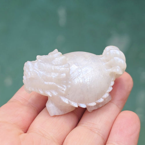 Blue Moonstone Dragon Turtle | Blue Flash Longgui