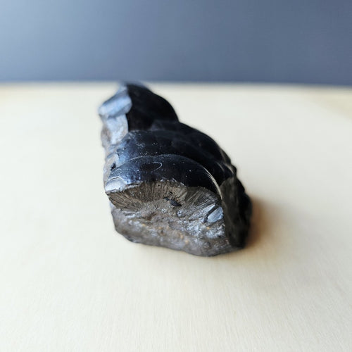 Botryoidal Hematite Specimen | 185gms