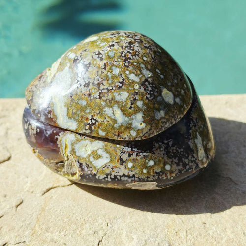 Brazilian Agate & Quartz Geode | The Celestial Keep