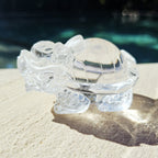 Brazilian Clear Quartz Dragon Turtle | The Quartz Guardian