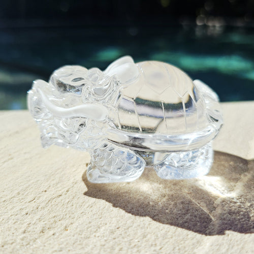 Brazilian Clear Quartz Dragon Turtle | The Quartz Guardian