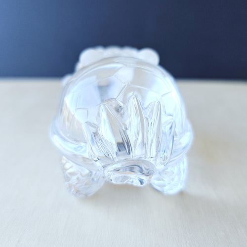 Brazilian Clear Quartz Dragon Turtle | The Quartz Guardian