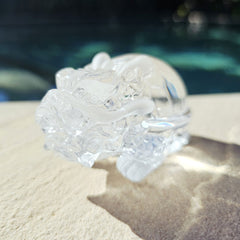 Brazilian Clear Quartz Dragon Turtle | The Quartz Guardian
