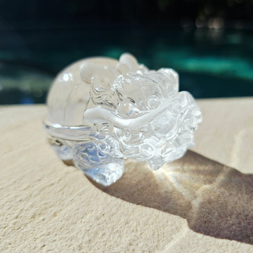 Brazilian Clear Quartz Dragon Turtle | The Quartz Guardian