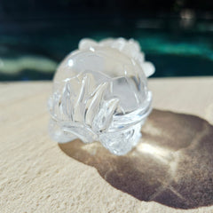 Brazilian Clear Quartz Dragon Turtle | The Quartz Guardian