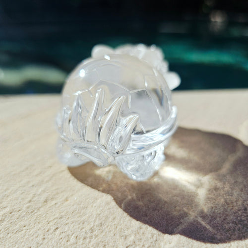 Brazilian Clear Quartz Dragon Turtle | The Quartz Guardian