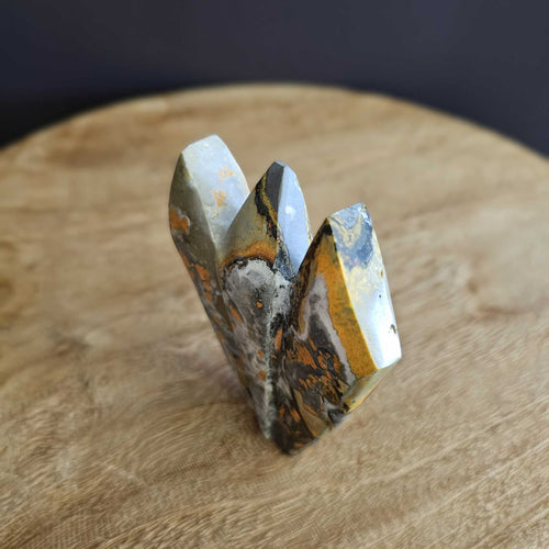 Bumblebee Jasper  | Triple Point 226gms