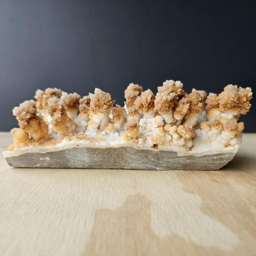 Calcite Stalactite Specimen | Forest Of Calcite Trees