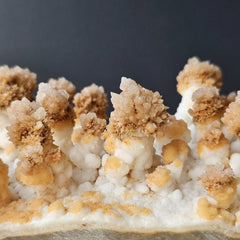 Calcite Stalactite Specimen | Forest Of Calcite Trees