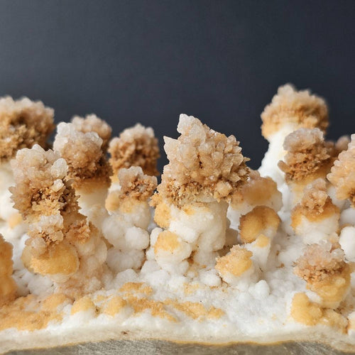 Calcite Stalactite Specimen | Forest Of Calcite Trees