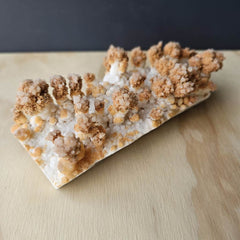 Calcite Stalactite Specimen | Forest Of Calcite Trees