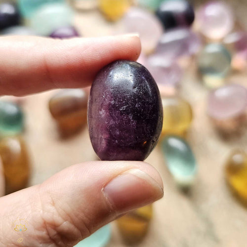 Candy Fluorite | Tumbled Stones