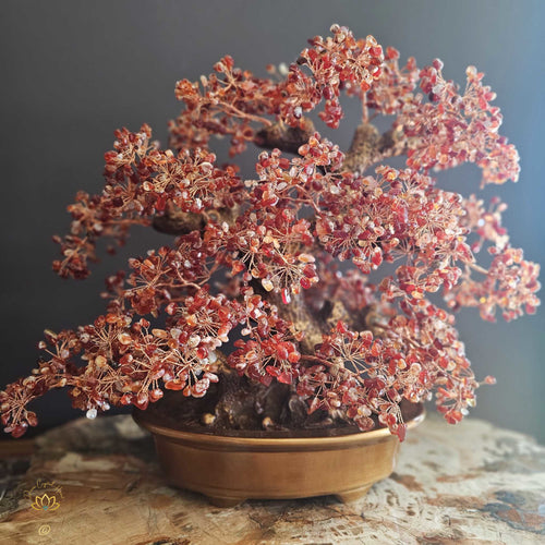 Carnelian Crystal Bonsai | Passion